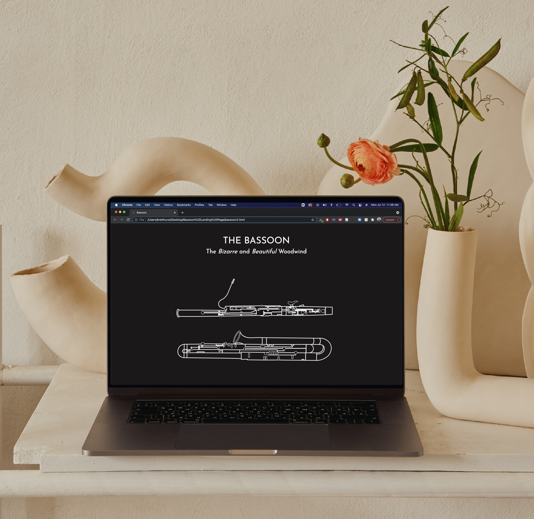 Image of bassoon landing page on a computer